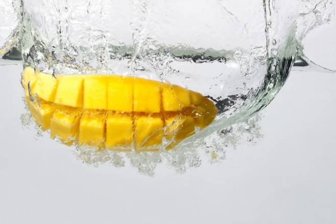 게티이미지뱅크