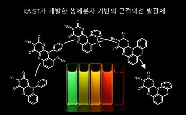 생체 내 형광분자 기반 근적외선 발광체  [KAIST 제공. 재판매 및 DB 금지]