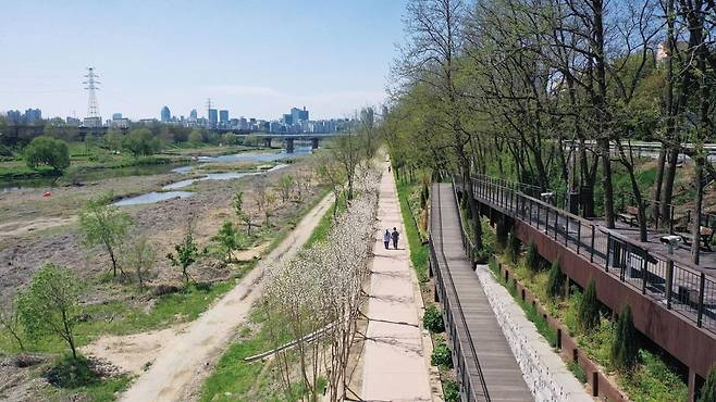 .이팝나무 길 5월 개화시 예상 모습(송파구 제공) / 연합뉴스