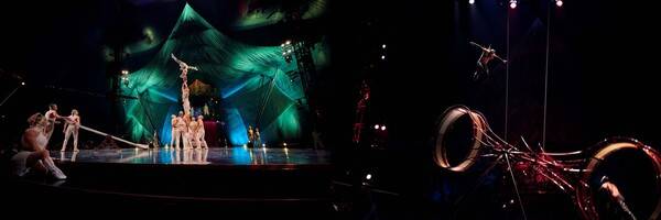 ⓒ(주)마스트 인터내셔널