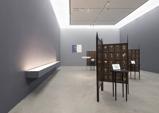 K3 전시장 전경. 매일 숲을 산책하며 수집하고 말린 꽃잎으로 만든 병풍 ‘새로운 유대’(2025)가 놓였다. /국제갤러리