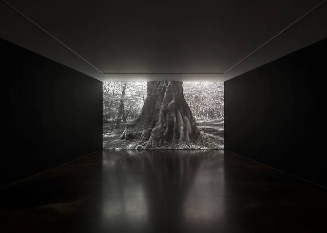 K2 2층 전시장에서 만나는 흑백 영상 작품 'Flows'(2010). /국제갤러리