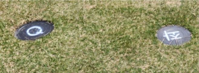 두 개의 스프링클러 헤드가 나란히 있는 모습.