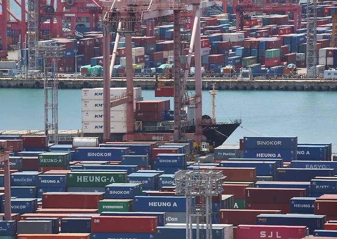 지난 21일 부산항 신선대부두와 감만부두 야적장에 컨테이너가 가득 쌓여 있다. /뉴스1