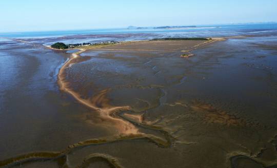 유네스코에 등재된 서천 유부도 주변의 갯벌 모습 서천발전지속가능협의회 제공