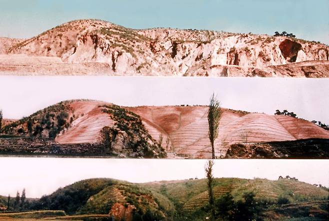 산림녹화기록물 대표 이미지인 ‘포항 영일지구’.