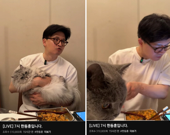 한동훈 국민의힘 6·3 대선 경선 후보가 4월23일 오후 7시 무렵 자택에서 자신의 유튜브 채널을 통해 생방송을 하고 있다. 가족들은 집을 비운 가운데 그는 저녁식사, 시청자 질문 답변, 반려묘 양이(왼쪽)와 탄이(오른쪽) 돌보기를 오가는 모습을 보였다.