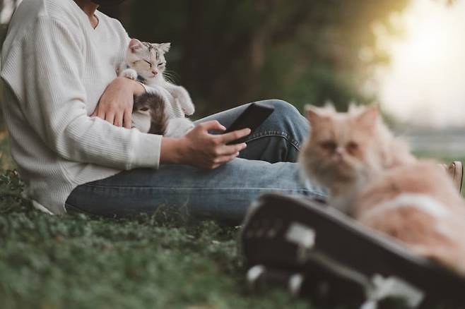 사진=게티이미지뱅크