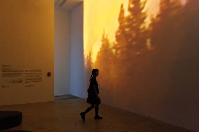 관람객이 영상 작품 '산불 1946-2024'가 상영되는 전시장을 둘러보고 있다.  피크닉