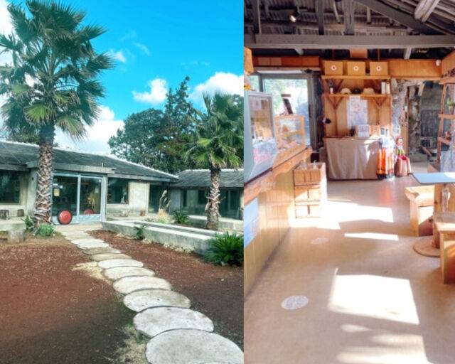 박한별의 카페는 제주도 서귀포에 위치해 있다. / 온라인 커뮤니티 캡처