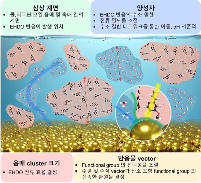 전해 시스템에서 각 물질의 배열 방식 모식도및 분자 동력학과 관련된 결정 요인.[KIST 제공]
