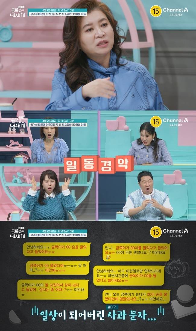 채널A ‘요즘 육아 - 금쪽같은 내새끼’