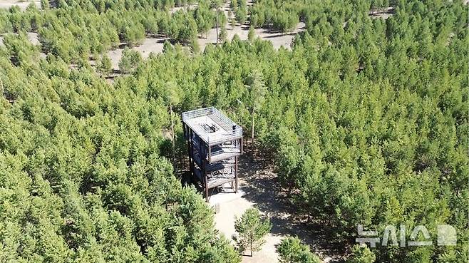 [토진나르스(몽골)=뉴시스] 지난 17일 한국 유한킴벌리가 몽골 토진나르스에 조성한 '유한킴벌리 숲'에 생태타워(에코타워)가 보이고 있다. 숲의 생태를 관찰할 수 있다. 2025.04.22. (사진=김수헌PD bi2og@naver.com, 지구촌나눔운동 제공)