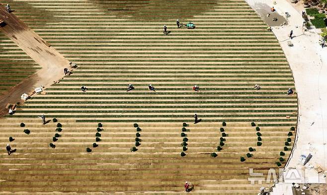 [서울=뉴시스] 김선웅 기자 = 24일 서울 중구 서울광장에서 잔디 식재 작업이 진행되고 있다. 2025.04.24. mangusta@newsis.com