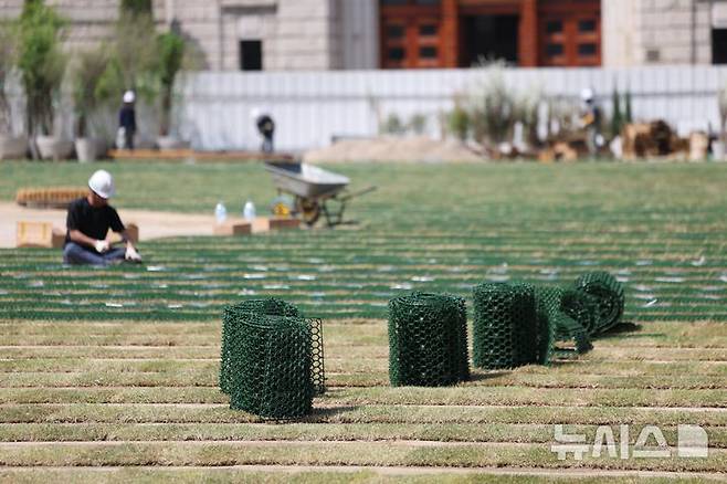 [서울=뉴시스] 김선웅 기자 = 24일 서울 중구 서울광장에서 잔디 식재 작업이 진행되고 있다. 2025.04.24. mangusta@newsis.com