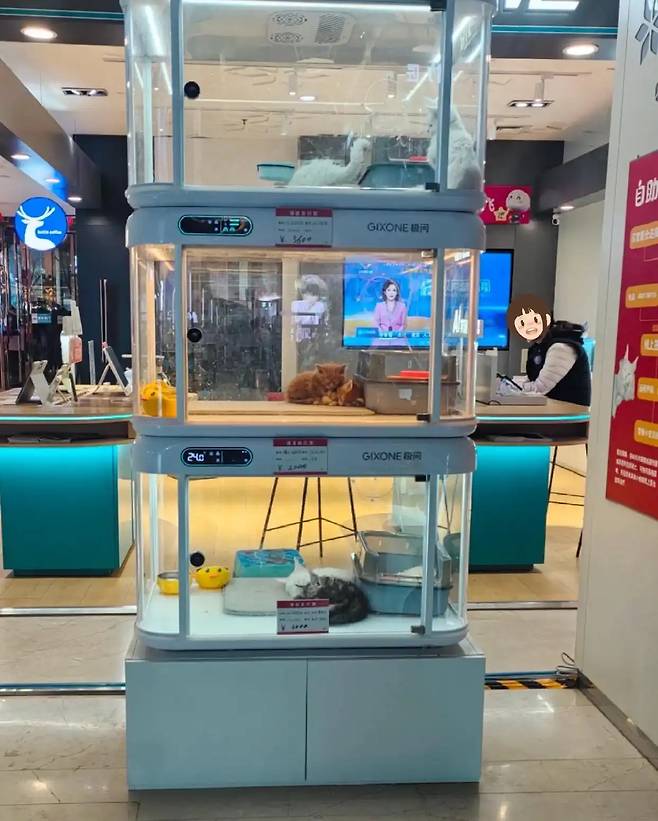 중국 내 쇼핑몰 매장에 설치된 반려동물 자판기 [사진 출처 = 남방 메트로폴리스]