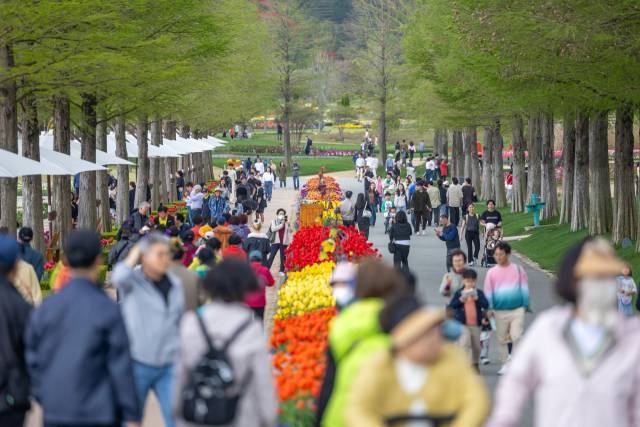 전남 순천시 순천만국가정원 낙우송길에 수많은 관람객들이 몰려들며 즐거운 한때를 보내고 있다. 사계절 내내 숨 쉬는 공간으로 주목 받고 있는 순천만국가정원은 개장 114일 만에 관람객 100만 명을 돌파하며 인기몰이를 하고 있다. 사진 제공=순천시