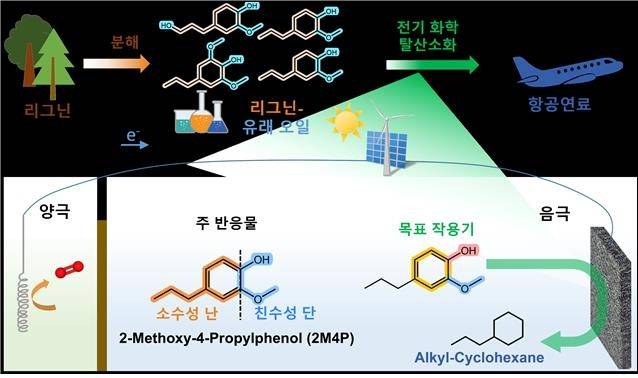 전기화학 작용을 통해 리그닌 유래 오일을 SAF로 전환하는 과정 [KIST 제공. 재판매 및 DB 금지]