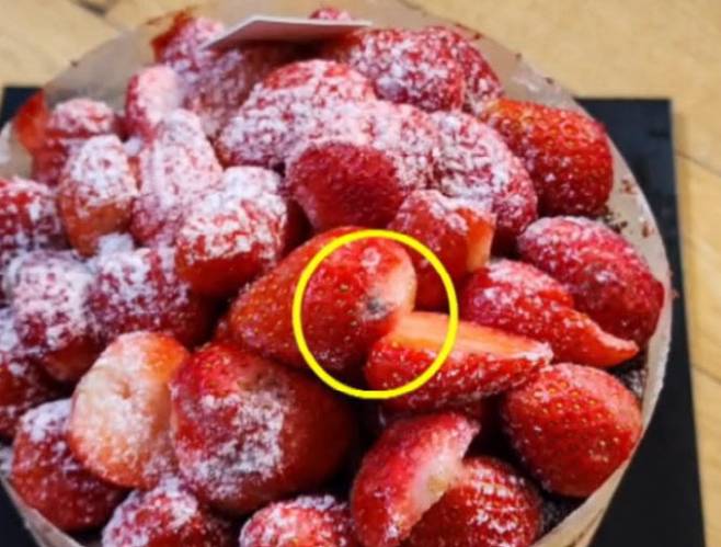 대전지역 대표 빵집 성심당의 인기 케이크인 딸기 시루에서 곰팡이가 발견됐다. 사진=채널A 캡처