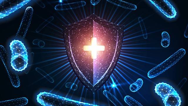 면역력이 떨어지기 쉬운 환절기, 비타민 B군 등 영양소 보충으로 건강을 지켜야 한다|출처: 게티이미지뱅크