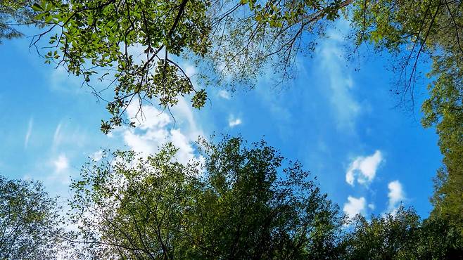 사진출처 : 클립아트코리아