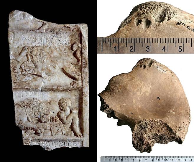 로마 시대 대리석 부조의 사자와 검투사. 오른쪽은 검투사 유골에 남겨진 자국들. /X(옛 트위터)