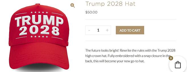 트럼프 스토어가 판매 중인 '트럼프 2028' 문구가 적힌 모자. /트럼프 스토어 홈페이지 캡처
