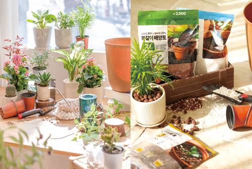 (사진 ㈜아성다이소)