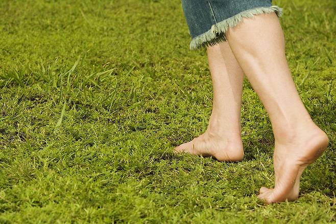 사진=게티이미지코리아.