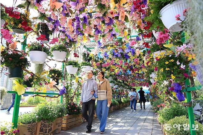 올해로 제17회를 맞은 2025 고양국제꽃박람회는 25일부터 5월 11일까지 ‘꽃, 상상 그리고 향기’를 주제로 경기 고양시 일산호수공원 일원에서 개최된다.고양=전영한 기자 scoopjyh@donga.com