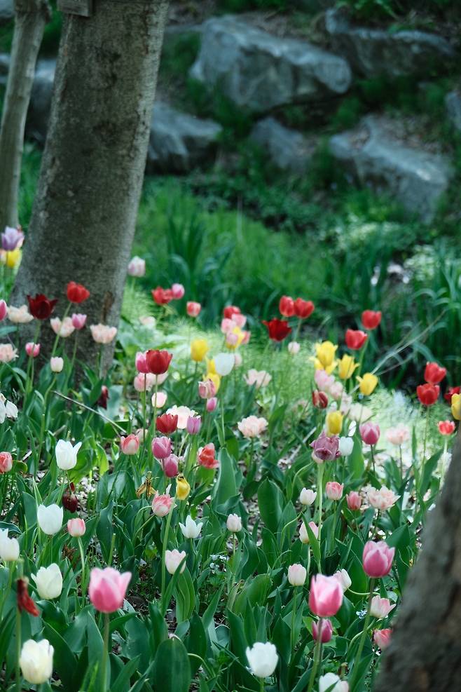 신구대학교 식물원 근황