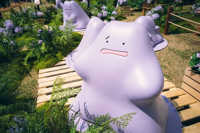 ▲ 하나하나 다른 표정 보는 재미가 쏠쏠