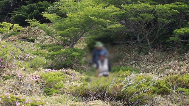 사진은 기사 특정 내용과 관련 없음