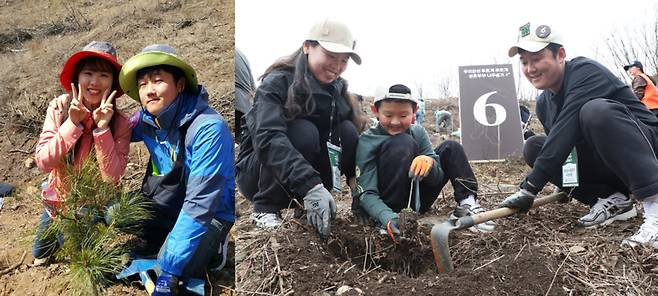 2015년 신혼부부로 나무심기 행사에 참여했던 장운기(41)ᐧ이진선(39)씨 부부는 올해 아들 장다온(9) 군과 다시 현장을 찾았다. 왼쪽 사진은 10년 전 부부가 처음 나무를 심었을 당시 모습. [사진 유한킴벌리]