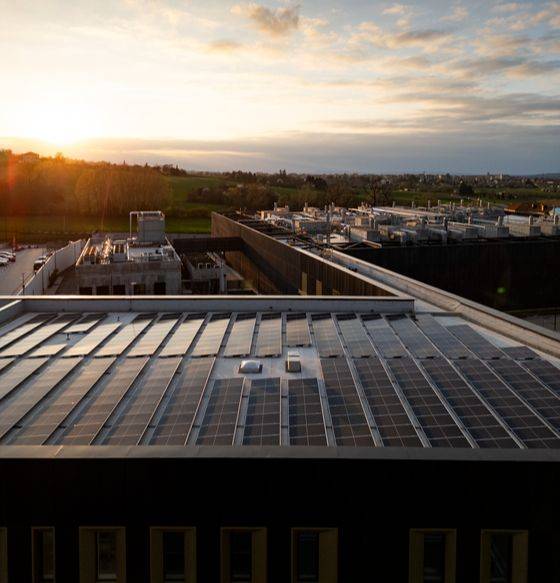 마니파투라 불가리 건물 옥상에 설치된 태양광 패널. 이를 통해 설비 가동에 필요한 재생에너지의 절반을 직접 생산한다. 사진 불가리