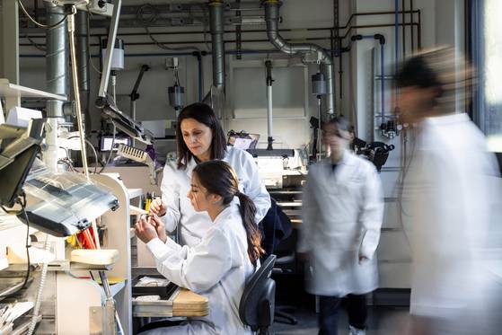 올해 확장과 함께 마니파투라 불가리 내에 설립된 주얼리 교육 기관 스쿠올라 불가리의 학생들. [사진 불가리]