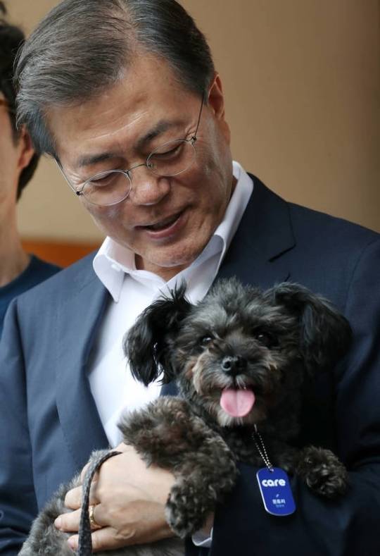 2017년 7월 26일 문재인 대통령이 동물권단체로부터 유기견 '토리'를 입양했다. 연합뉴스