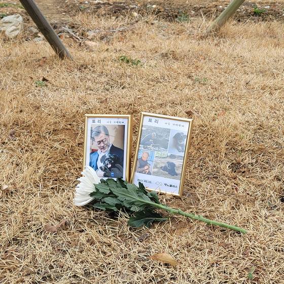 문재인 전 대통령의 반려견 토리는 지난해 2월 세상을 떠났다. 문재인 전 대통령 페이스북 캡처