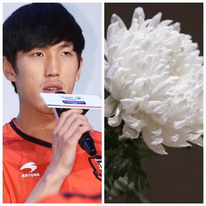 전 축구선수 강지용이 오늘(25일) 발인 절차를 끝으로 영면에 들었다.사진=MK스포츠 DB