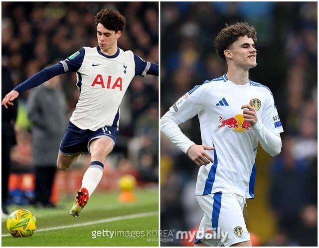 토트넘의 아치 그레이와 리즈 유나이티드의 동생 해리 그레이. /게티이미지코리아