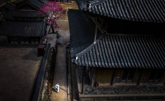 [서울=뉴시스] 대한불교조계종 19교구 지리산대화엄사 교구장 덕문스님은 25일 2025 제5회 화엄사 홍매화·들매화 사진 콘테스트의 응모작 심사 결과 수상작을 발표했다.이번 콘테스트는 '화엄! 홍매화의 향기를 머금고'라는 주제로 진행되었다. 사진 콘테스트 응모작은 총 1178점(전문작가 부문 493점, 휴대폰 카메라 부문 685점)이 접수되었다. 시상식은 오는 5월 5일 오전 10시다. 사진은 전문작가 사진부문 우수상 이기성 '인연, 어울림'. (사진=화엄사 제공) 2025.04.25. photo@newsis.com *재판매 및 DB 금지