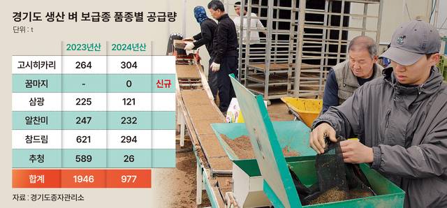 올해 경기지역 벼 보급종 공급량이 지난해보다 절반 가까이 줄어든 것으로 확인된 가운데 경기 안성지역의 한 농협 공동육묘장에서 모판 만들기 작업을 하고 있다.