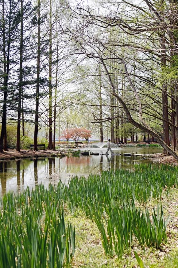 연못의 물길 사이에 놓인 안동 낙강물길공원의 징검돌은 수변의 반영이 아름다워 포토존으로 인기 있는 자리다.