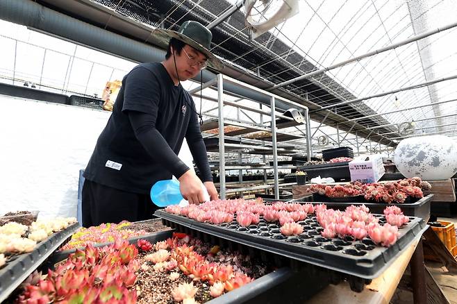 청년농업인대상 수상한 사계농원 노광명씨 [김형우 촬영]