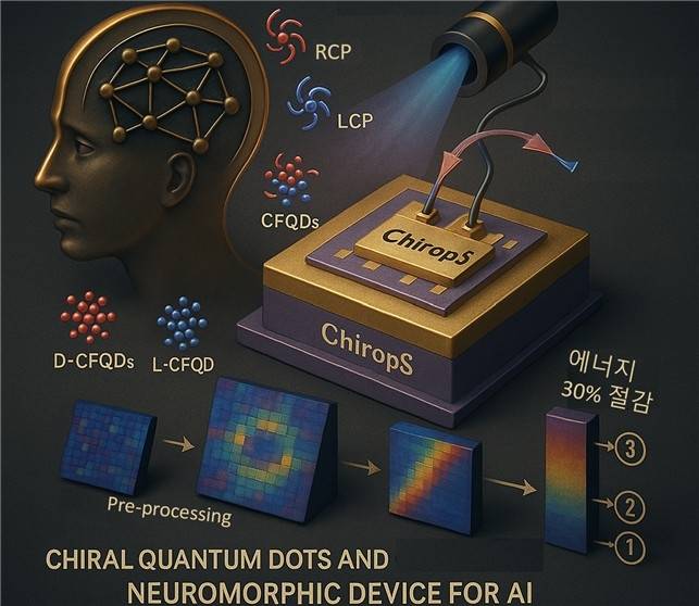 카이랄 자성 양자점을 이용해 만든 뇌 닮은 뉴로모픽 소자 그림  [KAIST 제공. 재판매 및 DB 금지]