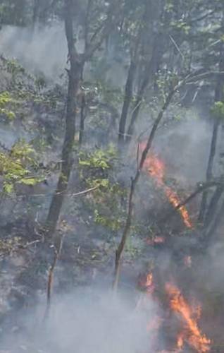 김천 산불 현장 [산림청 제공.재판매 및 DB금지]