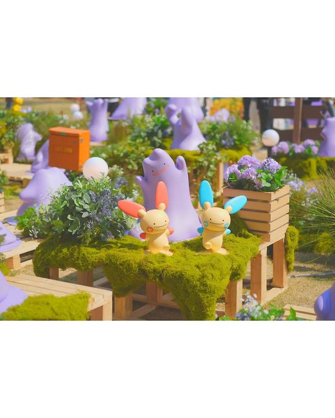 석촌호수 메타몽 근황