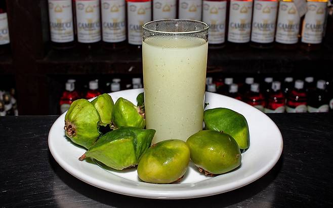 1280px-Webysther_20190223144228_-_Cambuci_-_Campomanesia_phaea.jpg UFO 같이 생긴 과일 "캄부치"