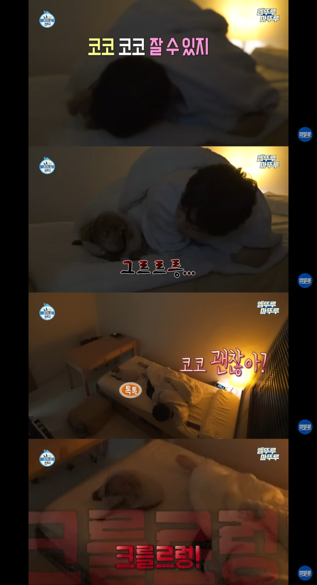 MBC 나 혼자 산다 캡처