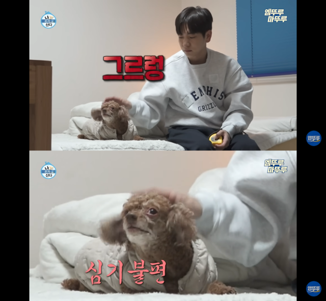 MBC 나 혼자 산다 캡처